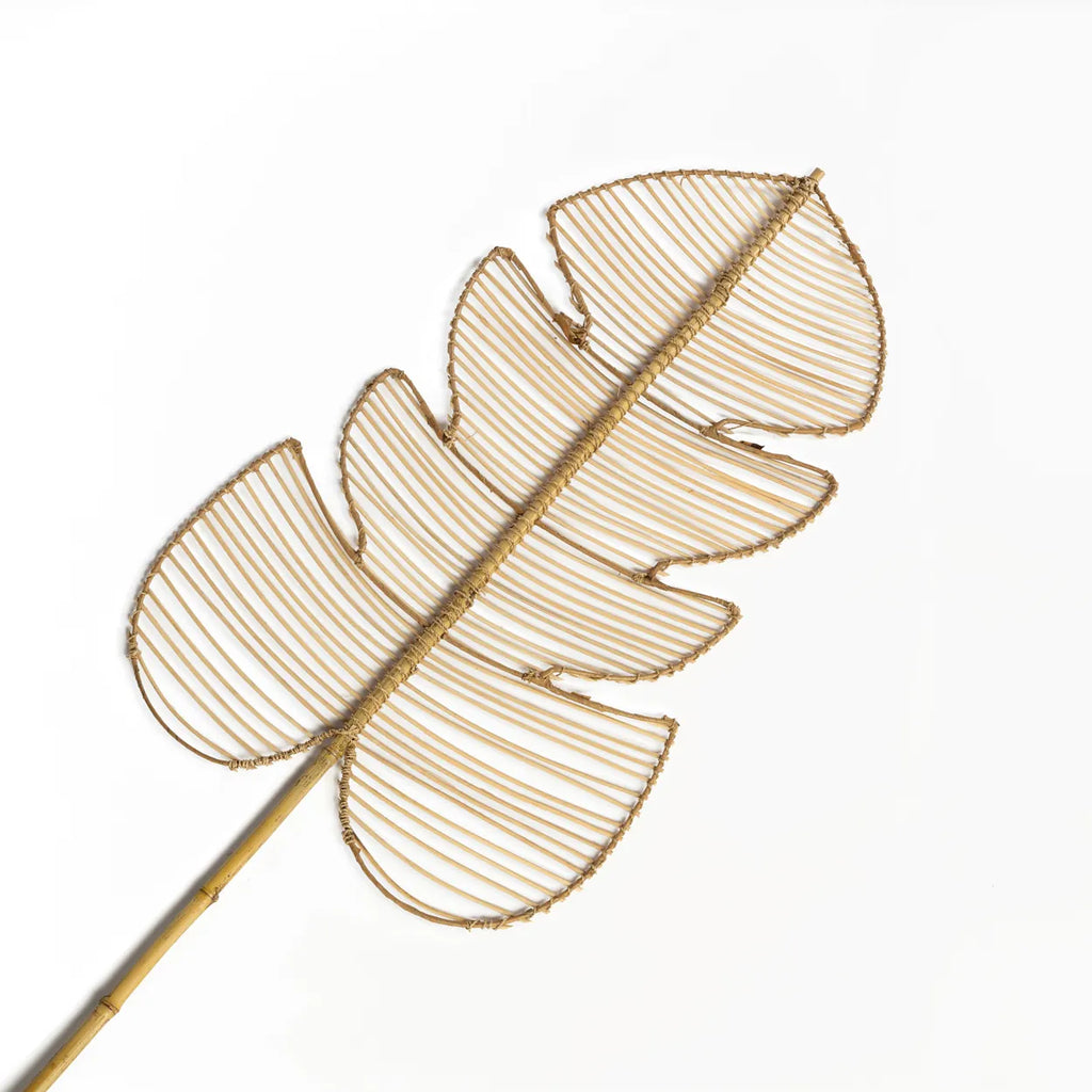 La Monstera in Rattan - Naturale - Set Tue 4