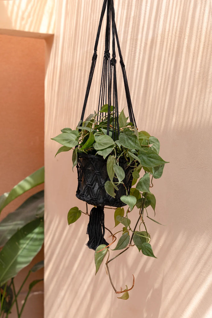 Le Cintre pour Plantes en Macramé - Noir - M