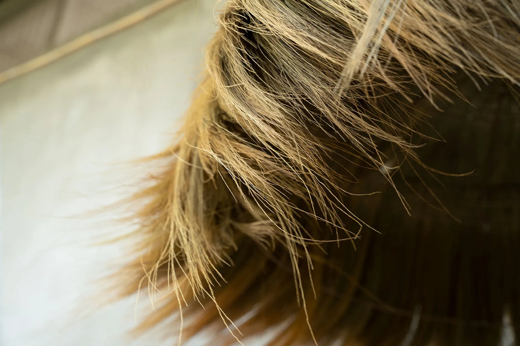 De Makiki Hanglamp - Naturel - XL